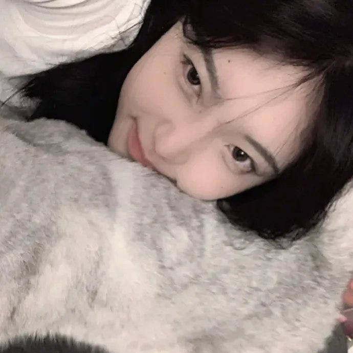 丝黛芬妮